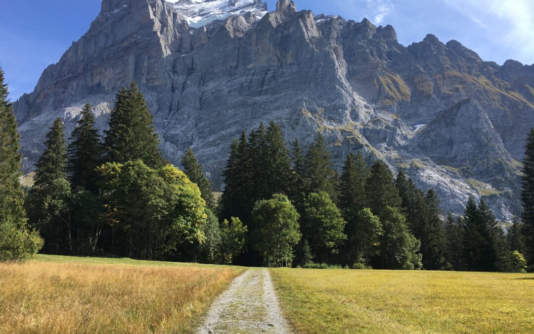 Mountain4Life: Interview mit Member Adrian