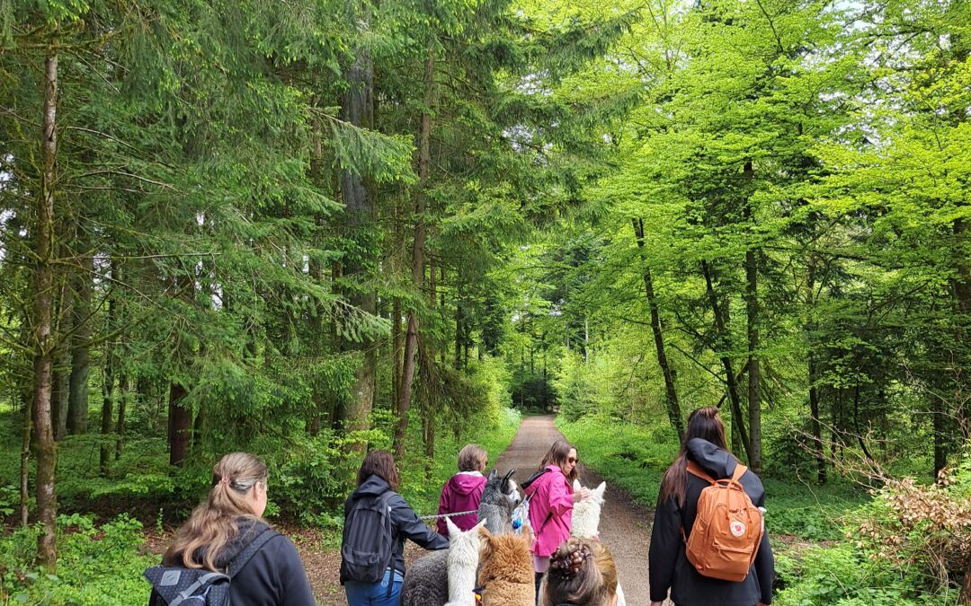 Mit ProCap und Fjällräven unterwegs